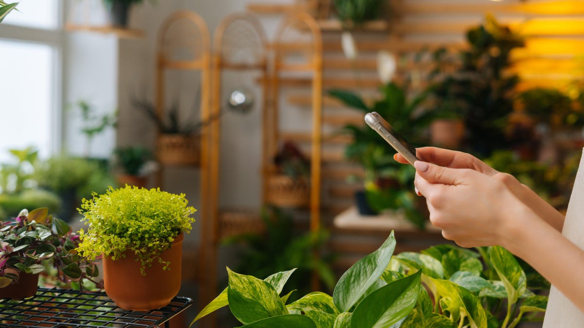 Read more about the article Ένας οδηγός για αρχάριους για τη χρήση εφαρμογών και gadget για την καλλιέργεια πιο υγιών φυτών
