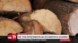 Read more about the article Η κοινωνία γυρνά σε άλλες εποχές – Με ξύλα προσπαθούν να ζεσταθούν φέτος οι Έλληνες!