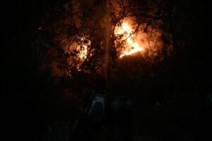 Read more about the article Σε εξέλιξη πυρκαγιά σε δασική έκταση στο Άγιον Όρος – Ascending.gr