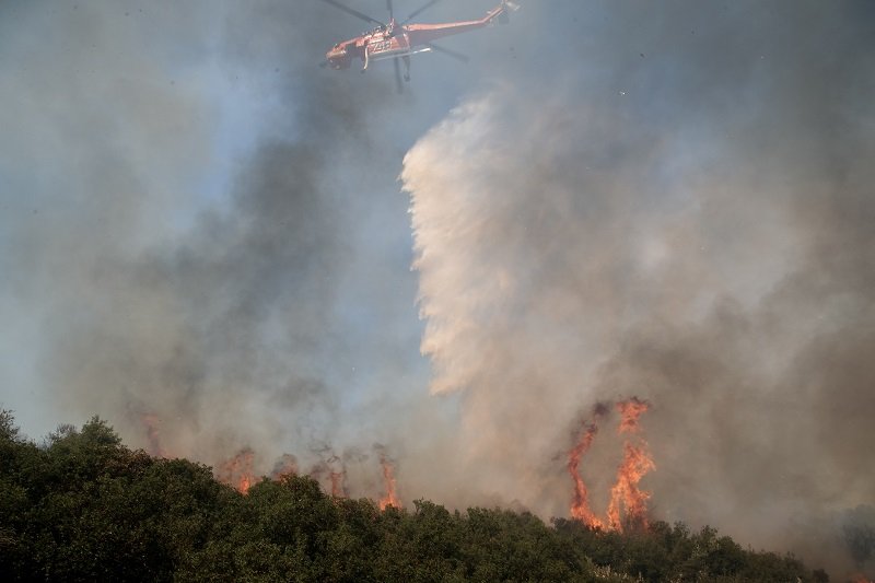 Read more about the article Περισσότερες από 1.000 πυρκαγιές την τελευταία εβδομάδα στη χώρα – Σε ύφεση η πυρκαγιά στη Μεσσηνία
