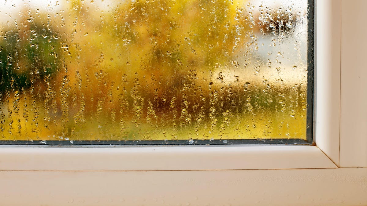 Read more about the article How to Find the Ideal Humidity Level for Your Home (and Why It Matters)